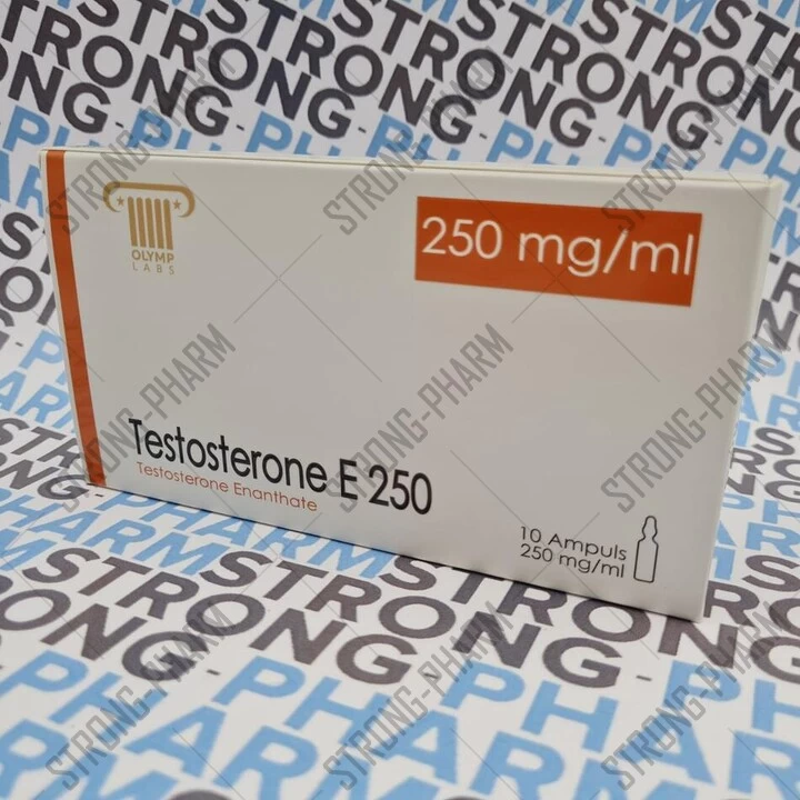 Testosterone E 250 (тестостерон энантат) от Olymp Labs