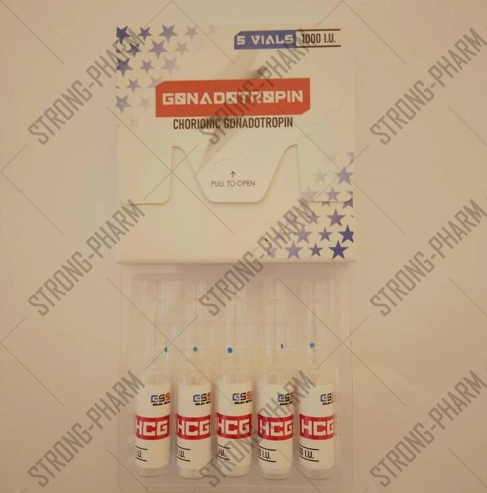 GONADOTROPIN GSS LAB 1 ампула 1000 ед 5000 ед